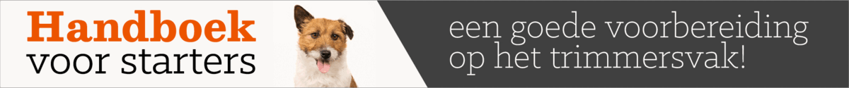 handboek-voor-starters