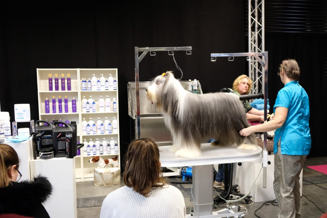 ANIDO 2022 grooming stand